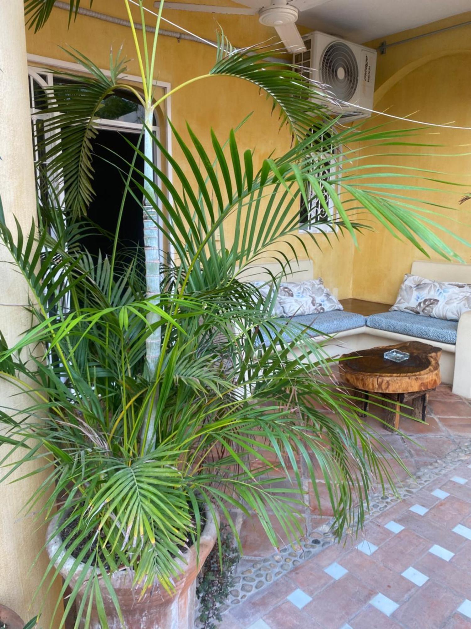 Cielito Lindo Suites Puerto Escondido  Exterior photo